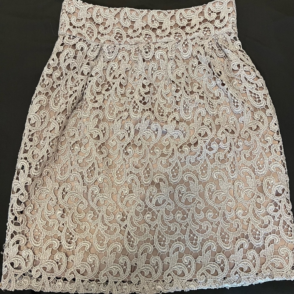 Boston Proper floral embroidered mauve skirt size 2